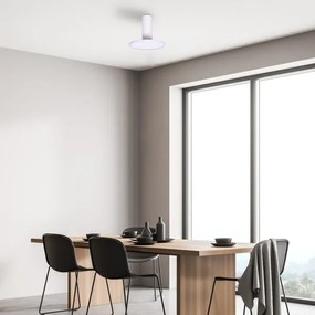 Rabalux 71328 - LED Stropné svietidlo OVIDIA LED/20W/230V 3000K biela