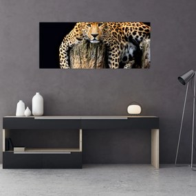 Obraz - Gepard (120x50 cm)