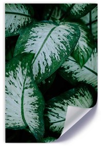 Gario Plagát Zelené tropické rastliny Farba rámu: Bez rámu, Veľkosť: 20 x 30 cm