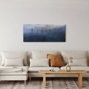Obraz - Les v hmle, Karpaty, Ukrajina (120x50 cm)