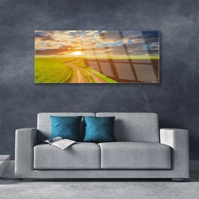 Obraz plexi Pole nebo slnko príroda 125x50 cm