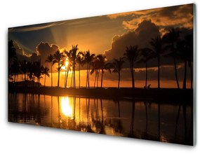 Obraz na skle Stromy slnko krajina 100x50 cm