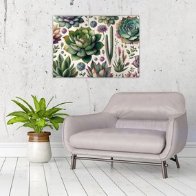 Obraz - Sukulenty (70x50 cm)