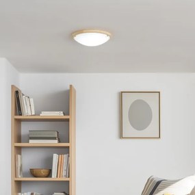 Rabalux 5421 - Stropné svietidlo UFO 2xE27/60W/230V