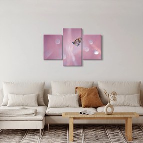 Obraz - Motýlik (90x60 cm)