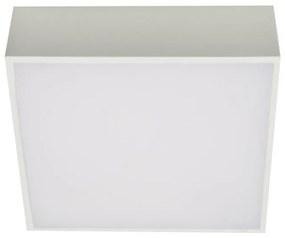 Azzardo AZ2781 - LED Stropné svietidlo FALCO LED/12W/230V
