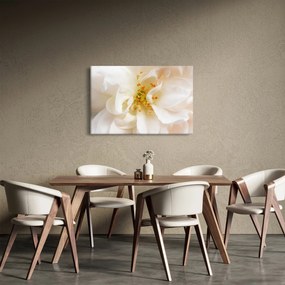 Obraz - Kvet (90x60 cm)