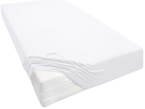 Biberna Napínacia plachta (biela, 140 – 160 x 200 – 220 cm)  (100251944)