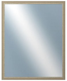 DANTIK - Zrkadlo v rámu, rozmer s rámom 80x100 cm z lišty LYON strieborná (2704)