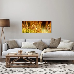 Obraz - Detail rosy (120x50 cm)