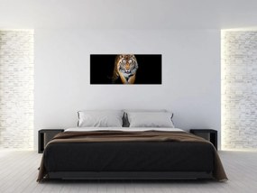 Obraz - Tiger (120x50 cm)