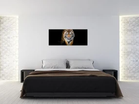 Obraz - Tiger (120x50 cm)