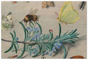 Obraz - Jan van Kessel the Elder, Insects and a Sprig of Rosemary, reprodukcia (90x60 cm)