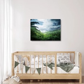 Sklenený obraz - Seychelská jungle (70x50 cm)