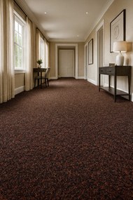 Rinos bv, Čistiaca zóna Robust 132 hnedá, šíře 135 cm, šíře 1,35 m,2m, hnedá, pvc, chodba / predsieň