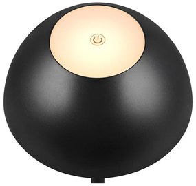 Vonkajšie svietidlo so stmievačom ø 13,5 cm Ricardo – Trio