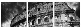 Coloseum - obraz