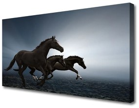 Obraz na plátne Kone zvieratá 120x60 cm