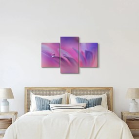 Obraz - Kvapka na kvete (90x60 cm)