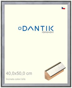 DANTIK rám na obraz 40x50 | INCLINATA colori Bílá (Plexi Čiré)