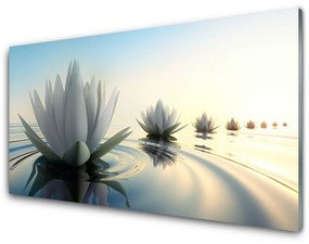 Skleneny obraz Vodné lilie kvety rybník 120x60 cm