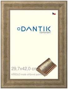 DANTIK rám na obraz 29,7x42 | KŘÍDLO malé stříbrné patina (Plexi Čiré)