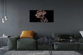 Obraz na plátne hnedý pes 125x50 cm