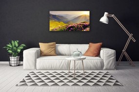 Obraz Canvas Hora lúka krajina 120x60 cm