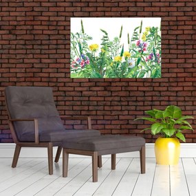 Obraz - Maľované lúčne kvety (90x60 cm)