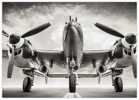 Obraz - Warbird (70x50 cm)