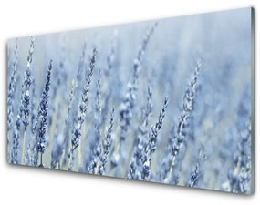 Obraz plexi Kvety klasy lúka príroda 100x50 cm
