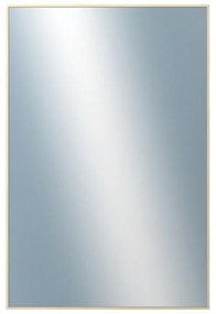 DANTIK - Zrkadlo v rámu, rozmer s rámom 40x60 cm z lišty Hliník javor (7273511)