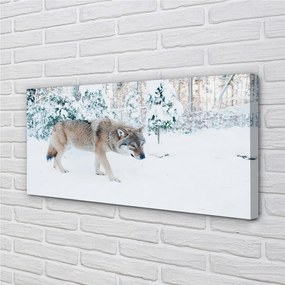 Obraz na plátne Vlk v zime lese 120x60 cm