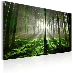 Artgeist Obraz - Emerald Forest II Veľkosť: 120x80, Verzia: Na talianskom plátne