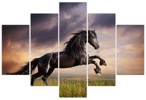 Obraz - Kone (150x105 cm)
