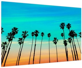 Obraz - Kalifornia (90x60 cm)