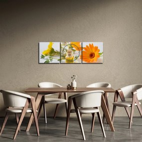 Obraz oranžových kvetín (s hodinami) (90x30 cm)