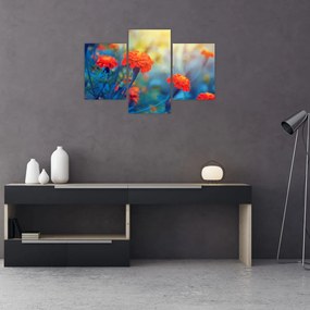 Obraz - Oranžové kvety (90x60 cm)