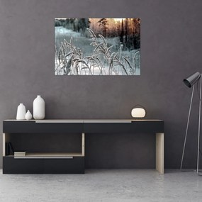 Obraz - Zamrznutá lúka (90x60 cm)