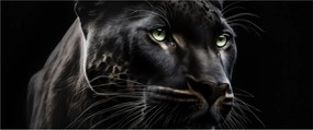 Obraz - Čierny panter (120x50 cm)