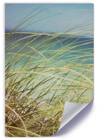 Gario Plagát Zelené trávy na pozadí mora Farba rámu: Bez rámu, Veľkosť: 20 x 30 cm