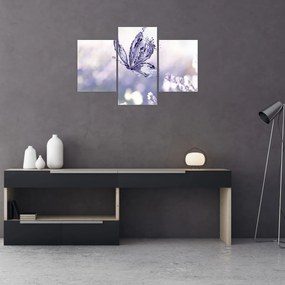 Obraz - Motýľ a levanduľa (90x60 cm)