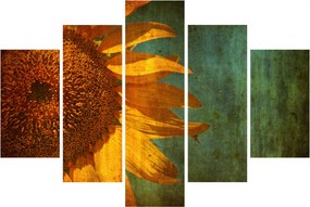Obraz - Slnečnica (150x105 cm)