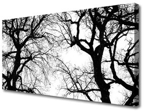 Obraz Canvas Stromy príroda čiernobiely 120x60 cm