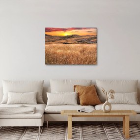Obraz pole (70x50 cm)