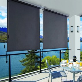 Vertikálna markíza Orrine 250x160 cm sivá