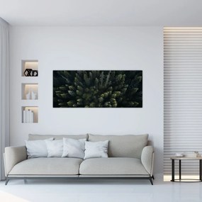 Obraz - Les (120x50 cm)