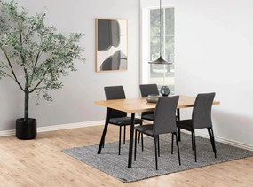 Moderná jedálenská stolička DEMINA 44x92 cm zo sivého polyesteru