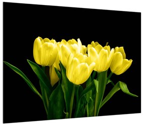 Obraz žltých tulipánov (70x50 cm)