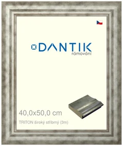 DANTIK rám na obraz 40x50 | TRITON široký stříbrný (Sklo Čiré)